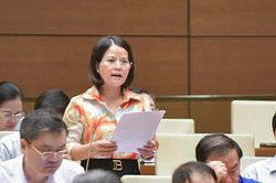 'Không hình sự hóa' và món nợ thể chế