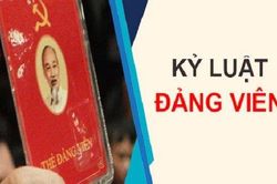 Kiên Giang: Kiểm tra, kỷ luật 4 tổ chức Đảng và 186 đảng viên