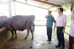 'Bà đỡ' cho những người nghèo