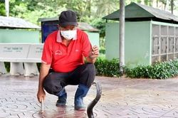 'Bảo mẫu' ở Trại rắn Đồng Tâm, Quân khu 9
