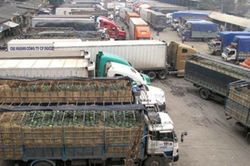 Cánh cửa xuất khẩu thêm rộng mở