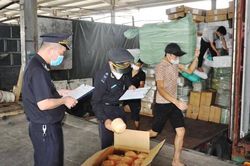 Kinh tế khó khăn, buôn lậu nhức nhối, ngành hải quan bắt giữ hàng hóa vi phạm trị giá hơn 11.500 tỷ đồng