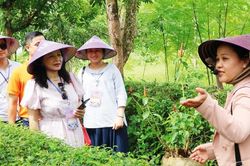 Thay đổi để bắt kịp xu hướng mới nổi của ngành du lịch