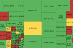 Chứng khoán ngày 19/12: Thị trường phục hồi, lấy lại 4 điểm quý giá