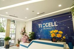 Xử phạt và đình chỉ cơ sở thẩm mỹ hoạt động 'chui'