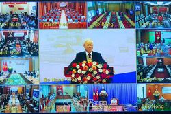 Phát huy bản sắc 'ngoại giao cây tre Việt Nam'