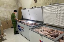 Phát hiện 1 tấn thực phẩm đông lạnh từ nước ngoài nhập lậu về Thừa Thiên Huế