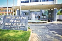 Hoàng Anh Gia Lai (HAG) cổ phiếu giảm sàn, con gái Bầu Đức muốn thâu tóm thêm