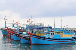 Ngư dân Bến Tre quyết tâm cùng cả nước gỡ 'thẻ vàng' IUU