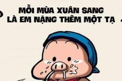 Truyện cười: Mẹ chồng 10 điểm không có nhưng...
