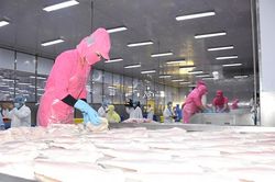 Xuất khẩu thủy sản nỗ lực về đích