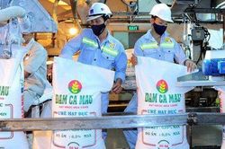 Đạm Cà Mau: Lợi nhuận giảm sâu sau 11 tháng, lãi còn hơn nghìn tỷ