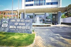 Cổ phiếu HAG tiếp tục 'trượt sàn'