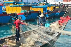 Cơ hội cuối cùng để gỡ 'thẻ vàng' IUU