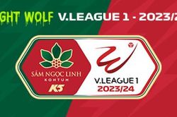 Lịch thi đấu V-League mùa giải 2023/24: Cập nhật lịch thi đấu V-League vòng 7 - Hà Nội vs Hà Tĩnh, Nam Định vs HAGL