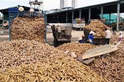 Thiết lập 3 luồng sàng lọc 'doanh nghiệp ma' trong hoàn thuế VAT