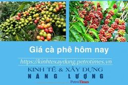 Giá cà phê hôm nay 21/12: Đồng loạt tăng rất mạnh
