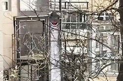 Bỏ hàng trăm triệu rước 'quái vật' về nhà, người phụ nữ khiến hàng xóm mất ngủ