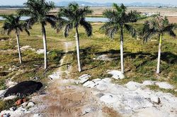 Thanh Hóa: Chấn chỉnh đổ đất, đá thải trong quá trình đầu tư xây dựng