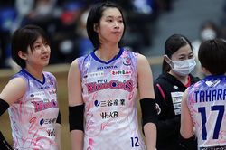 Thanh Thúy được 'chia lửa' tại PFU BlueCats, đón đồng đội mới là sao trẻ gây sốt bóng chuyền châu Á