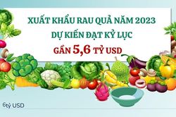Xuất khẩu rau quả năm 2023 dự kiến đạt kỷ lục gần 5,6 tỷ USD