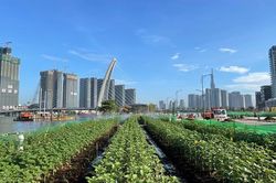 Bước đầu hành trình 'thay áo mới' bờ Đông sông Sài Gòn