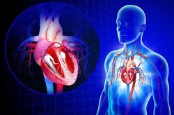 Bất ngờ căn bệnh gây tử vong nhiều nhất, không phải ung thư