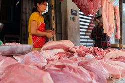 Giá heo hơi hôm nay 23/12: Có thể chạm mốc 60.000 đồng/kg trong đợt tăng này