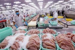 Thị trường CPTPP gia tăng điều tra phòng vệ thương mại, Việt Nam làm gì để ứng phó?