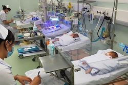 Nguy cơ gia tăng bệnh truyền nhiễm mới nổi
