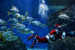 Chùm ảnh ông già Noel vui nhộn khắp thế giới