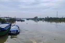 Cho tàu cập bến 'chui', 6 cán bộ, viên chức Cảng vụ Đường thủy nội địa Đồng Nai bị kiểm điểm