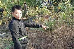 Sát nhân 17 tuổi và hành trình lật tẩy tội ác kinh hoàng sau khi phát hiện bộ hài cốt trong bể nước