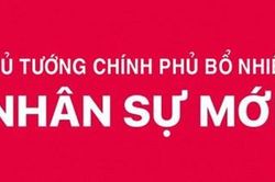 Thủ tướng Chính phủ bổ nhiệm lãnh đạo 3 cơ quan