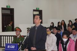 Vợ cựu Thứ trưởng Bộ Ngoại giao bật khóc xin giảm án cho chồng