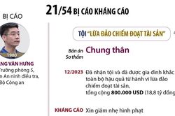 Tòa án Nhân dân Cấp cao tại Hà Nội xét xử phúc thẩm vụ 'chuyến bay giải cứu'