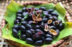Quả trám - không những ngon miệng mà còn là vị thuốc quý