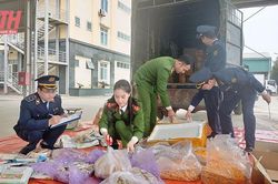 Tăng cường kiểm tra, kiểm soát thị trường