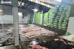 Phát hiện gần 4 tấn da bò bốc mùi hôi thối