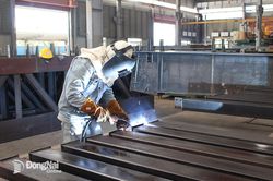 Biến động tỷ giá cuối năm: Áp lực nhưng không quá lo ngại