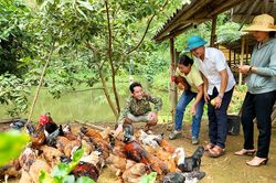 Nông dân Tân Sơn giúp nhau giảm nghèo bền vững