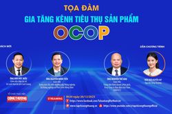 Đa dạng kênh tiêu thụ sản phẩm OCOP