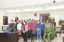 Vụ án 'chuyến bay giải cứu': Mong xem xét tình tiết giảm nhẹ