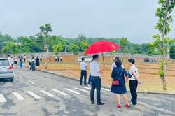Cò đất sắp hết cửa bát nháo, thổi giá ăn chênh?