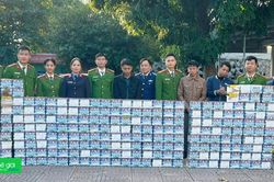 Phá đường dây mua bán, tàng trữ hơn 1,9 tấn pháo