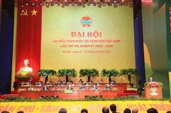 Hỗ trợ, định hướng cho nông dân đầu tư cơ sở sản xuất hiện đại