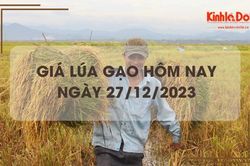 Giá lúa gạo hôm nay 27/12/2023: Duy trì đà đi ngang
