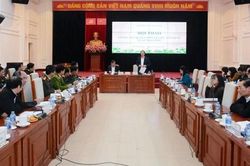 2 phương án về đối tượng áp dụng trong Luật Nhà giáo
