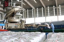 Thị trường lớn 'đánh' thuế carbon và 'ứng xử' cho doanh nghiệp Việt