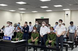 Xét xử các bị cáo trong vụ gây thất thoát 165 tỷ đồng tại VEAM